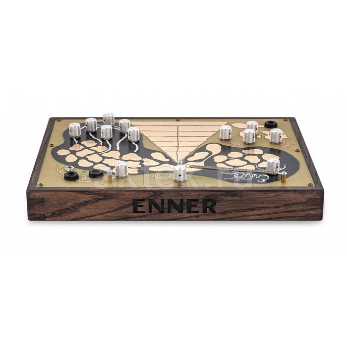 Аналоговый синтезатор SOMA Enner night frog 2
