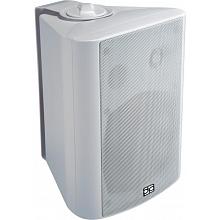 Акустическая система двухполосная DP Technology Direct Power Technology WL-150W