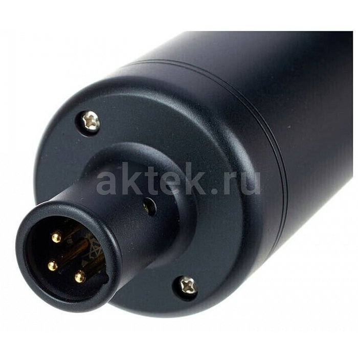 Студийный микрофон sE Electronics sE2200 8