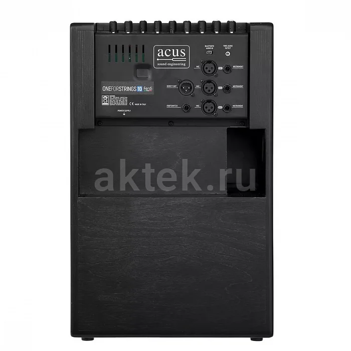 Acus One ForStrings 10Ferdi акустический комбоусилитель, 250 Вт, три канала 5