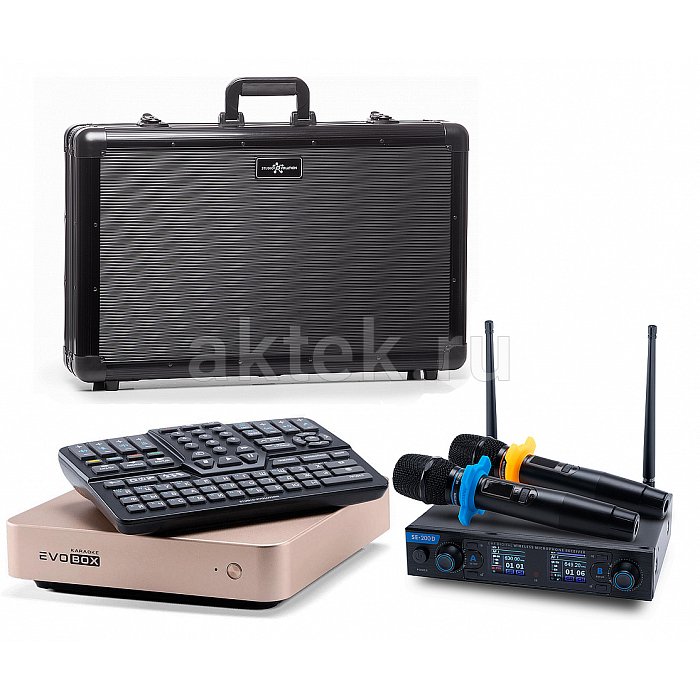 Караоке система для дома EVOBOX+SE 200D+EvoCase Gold
