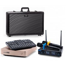 Караоке система для дома EVOBOX Gold+SE 200D+EvoCase