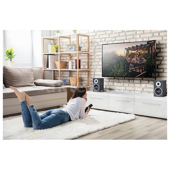 Активные мониторы Magnat Monitor Active 2000 Black 12