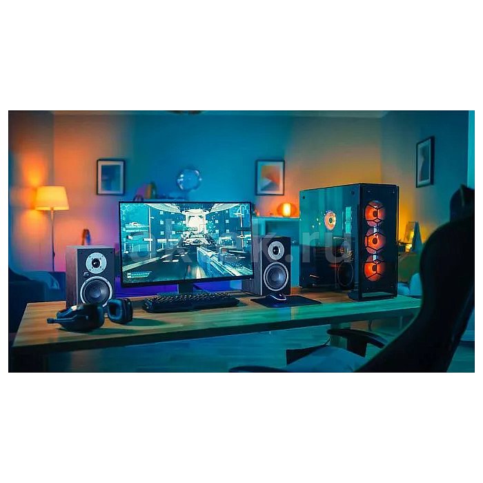 Активные мониторы Magnat Monitor Active 2000 Black 13