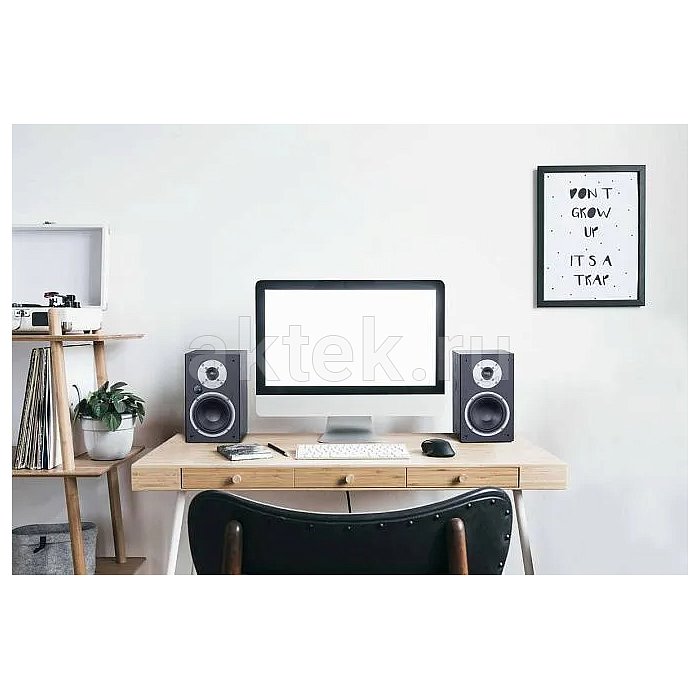 Активные мониторы Magnat Monitor Active 2000 Black 15