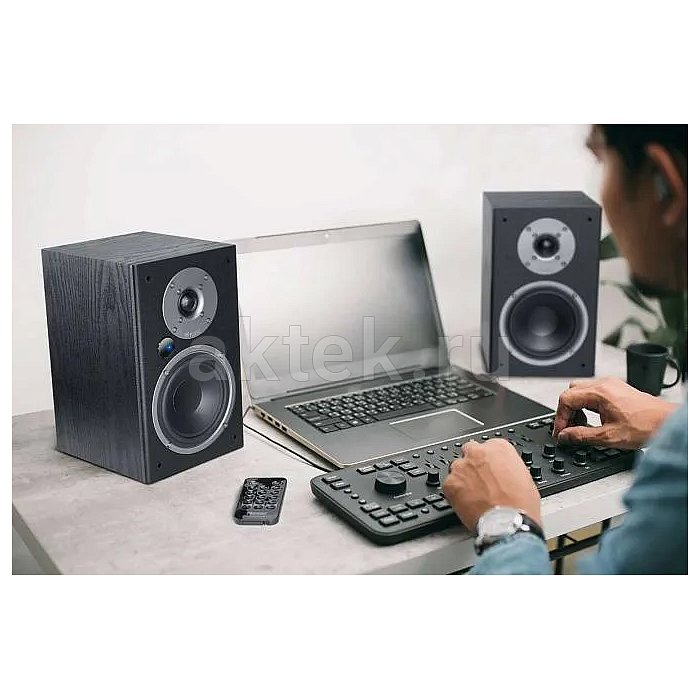 Активные мониторы Magnat Monitor Active 2000 Black 17
