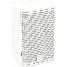 Пассивная акустическая система MARTIN AUDIO A55TW