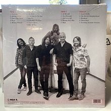 Виниловая пластинка FOO FIGHTERS - THE ESSENTIAL FOO FIGHTERS 180 GRAM BLACK VINYL 12" 2