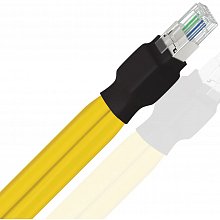 Ethernet-кабель Wireworld CHE2.0M-10 2 м, RJ45–RJ45