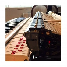 Kawai GL-20 M/PEP ID акустический рояль с банкеткой 3