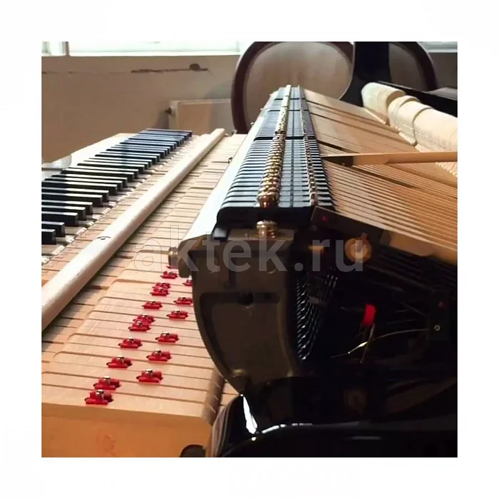 Kawai GL-20 M/PEP ID акустический рояль с банкеткой 3