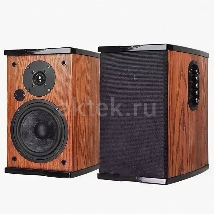 Активные полочные колонки SkyDisco Q1 2x50W