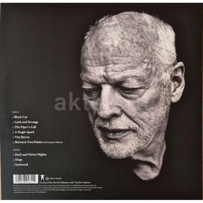 Виниловая пластинка DAVID GILMOUR - LUCK AND STRANGE 180 GRAM BLACK VINYL 12" 2