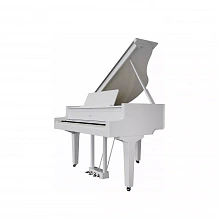Roland GP 6 PW цифровое пианино, 88 клавиш, 256 голосов 3