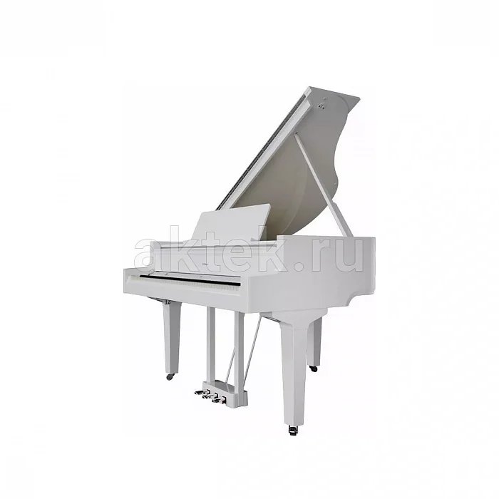 Roland GP 6 PW цифровое пианино, 88 клавиш, 256 голосов 3