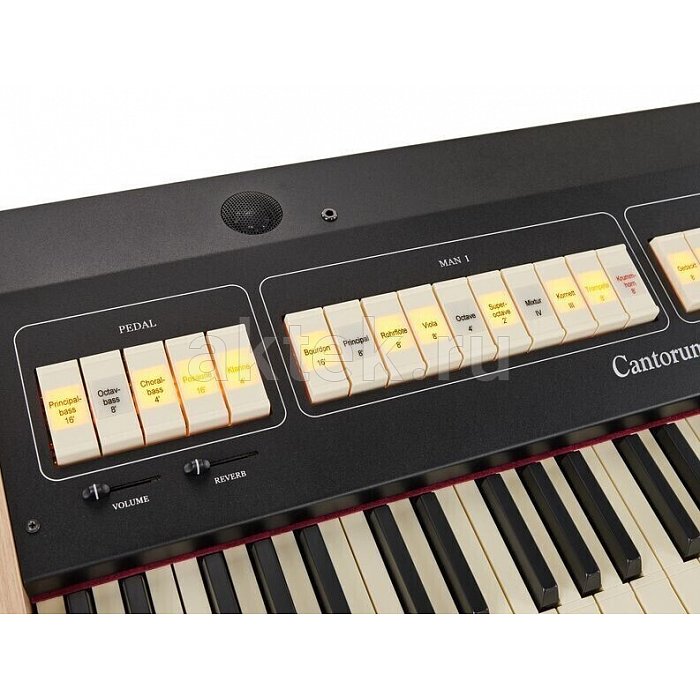 Цифровой орган Viscount Cantorum DUO Plus 9