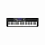 Casio CT-S500 синтезатор, 61 клавиша, 64 голоса, 800 тембров