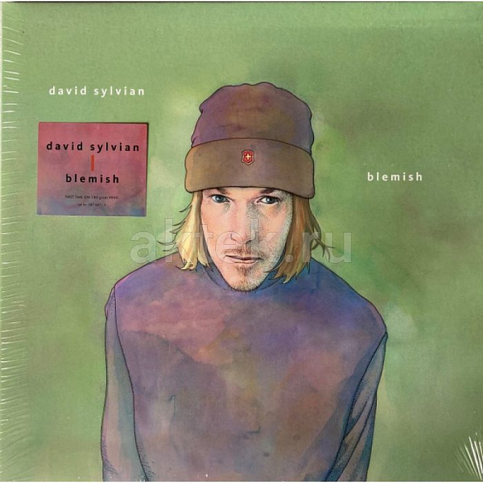 Виниловая пластинка DAVID SYLVIAN - BLEMISH 180 GRAM BLACK VINYL 12"