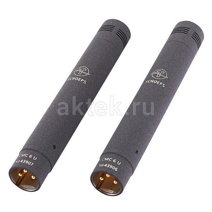 Студийные микрофоны Schoeps Stereo Set CMC 6 and MK 4 9
