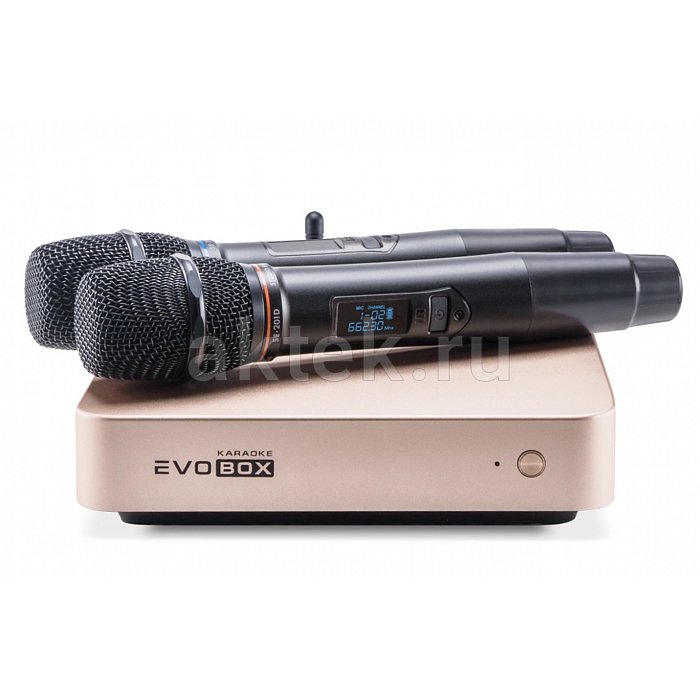 Комплект караоке с микрофонами и саундбаром EVOBOX Classic + EvoSound Bar 2.1 Black 2