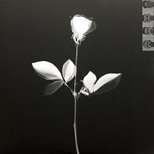 Виниловая пластинка DEPECHE MODE - VIOLATOR 180 GRAM BLACK VINYL 12" 3