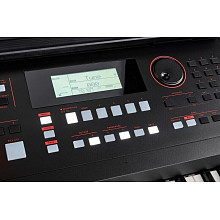 Синтезатор Roland E-X50 2