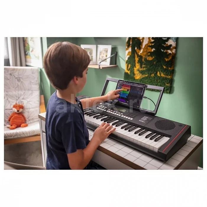 Roland E-X10 синтезатор, 61 клавиша, 64 голоса, 610 тембров 4