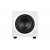 Phaze Audio Tilia SUB White активный сабвуфер 10″ 120Вт