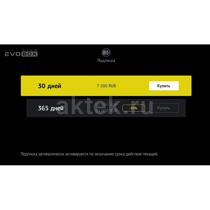 Профессиональная караоке-система для бизнеса EVOBOX Club Black 11