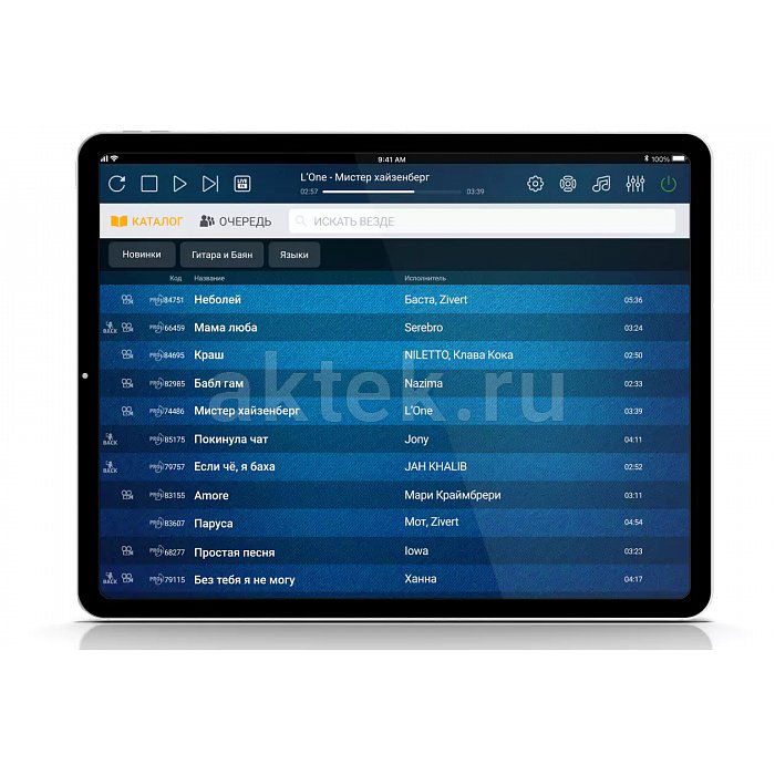 Профессиональная караоке-система для бизнеса EVOBOX Club Black 2