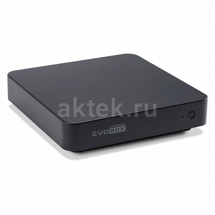 Профессиональный домашний караоке комплект EVOBOX + SE 200D + MAGNAT 4