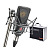 Микрофон конденсаторный NEUMANN TLM 103 mt Mono set