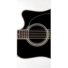 Гитара электроакустическая с кейсом TAKAMINE LEGACY EF341SC 3