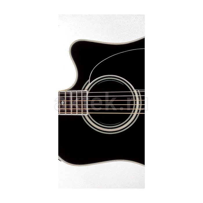 Гитара электроакустическая с кейсом TAKAMINE LEGACY EF341SC 3