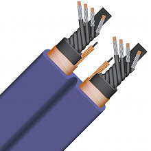 Силовой кабель Wireworld AUP3.0MEU-10 3 м 2