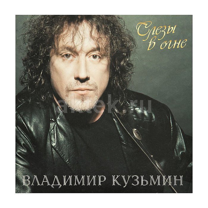 Виниловая пластинка ВЛАДИМИР КУЗЬМИН - СЛЕЗЫ В ОГНЕ BLACK VINYL 12"