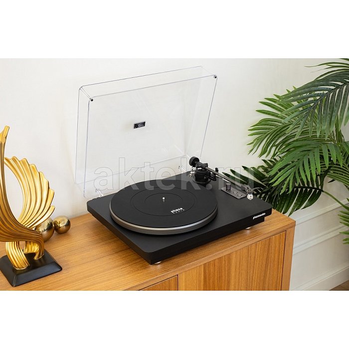 Phaze Audio VOLT Black и Diana MK2 Shadow Black стереосистема 4