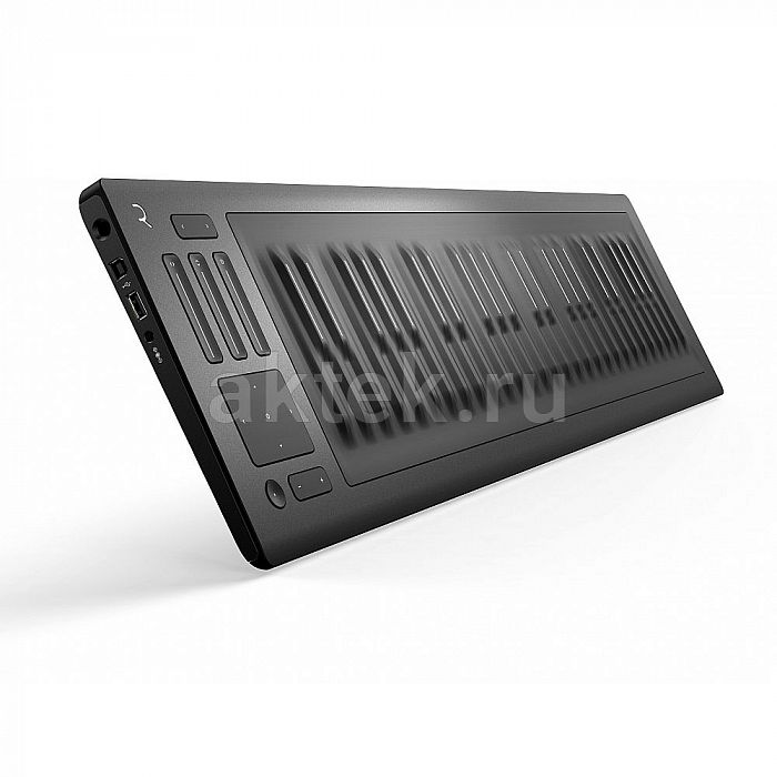 Клавишный инструмент ROLI RISE 49 2