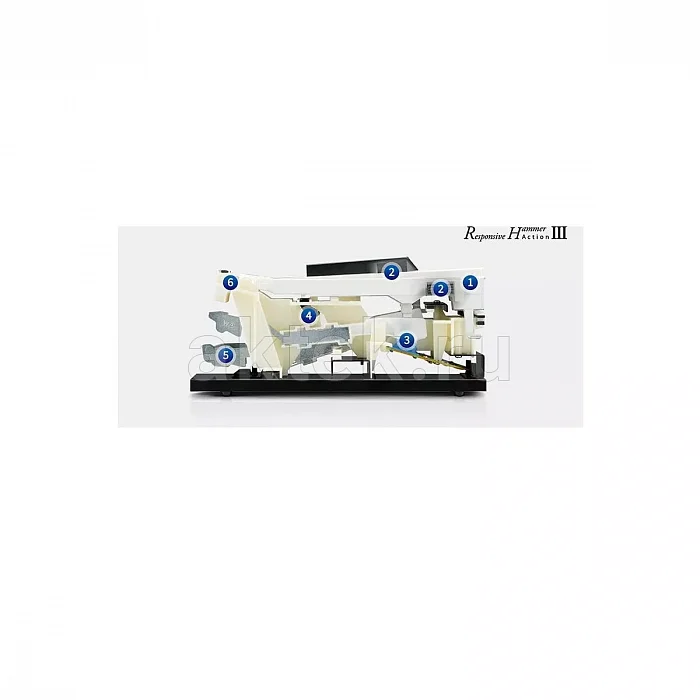 Kawai CN201W цифровое пианино, 88 клавиш, 19 тембров, цифровая обработка 8