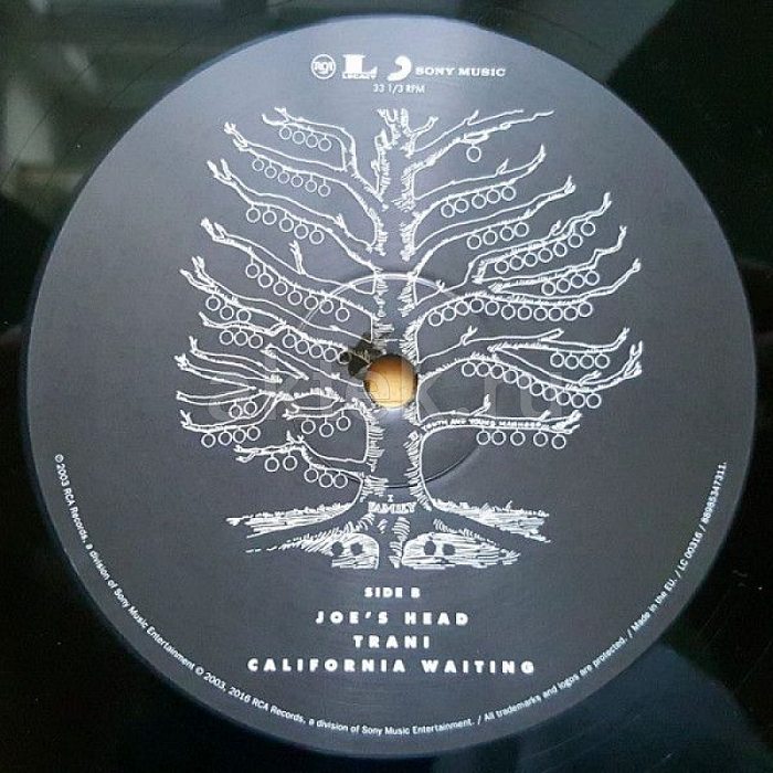 Виниловая пластинка KINGS OF LEON - YOUTH AND YOUNG MANHOOD 180 GRAM BLACK VINYL 12" 5