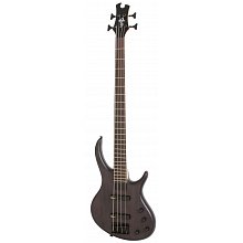 Бас-гитара EPIPHONE Toby Deluxe-IV Bass TKS