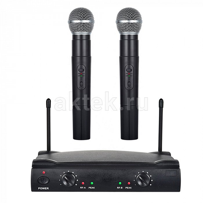 Беспроводные микрофоны для караоке NGY Wireless System