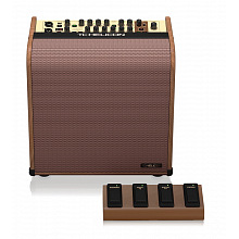 TC Helicon HARMONY V100 комбоусилитель 2-х канальный, 100 Вт
