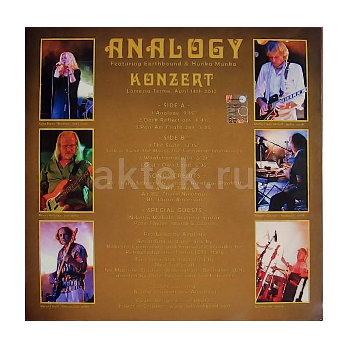 Виниловая пластинка ANALOGY - KONZERT 180 GRAM BLACK VINYL 12" 2