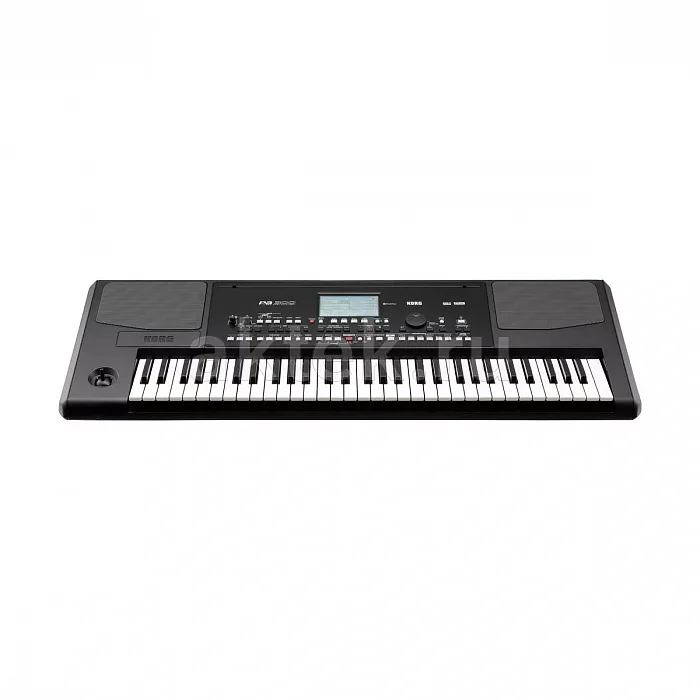 Korg PA300 синтезатор с автоаккомпанементом, 950 тембров, 310 стилей 2