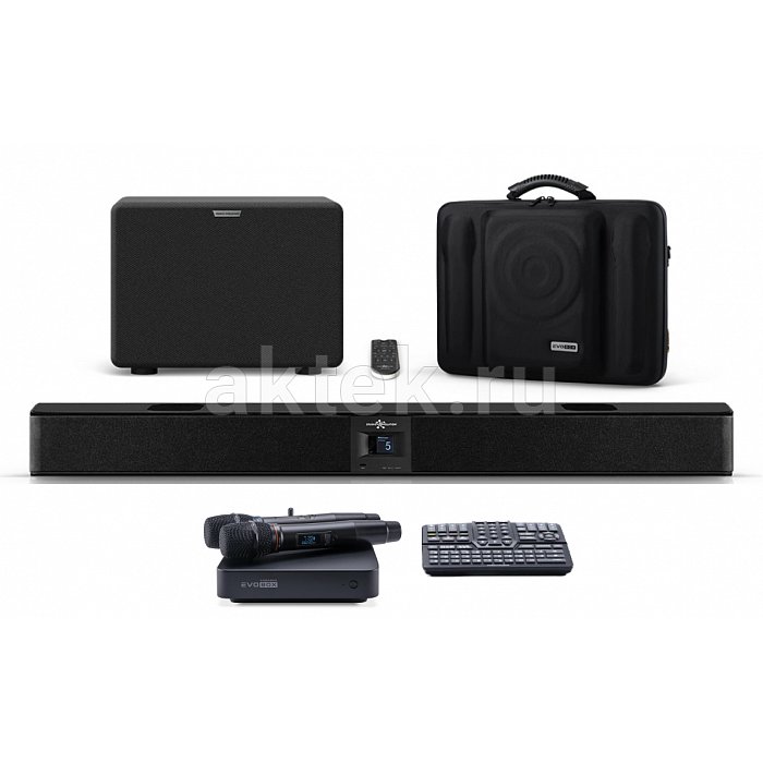 Комплект караоке с микрофонами и саундбаром EVOBOX Plus с годовым обновлением+ EvoSound Bar 2.1 Black