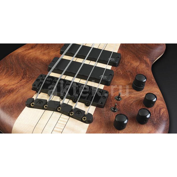 Warwick Thumb SC Broad Neck 5 3