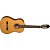 Классическая гитара Washburn C40