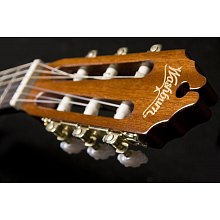 Washburn C5CE 2