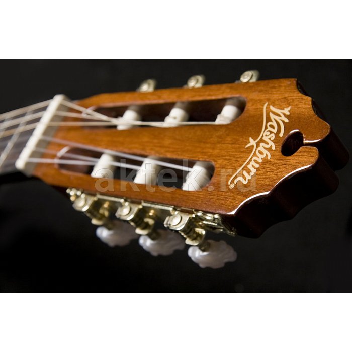 Washburn C5CE 2